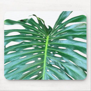 Tapis De Souris Elégante feuille de palmier tropicale jungle tropi