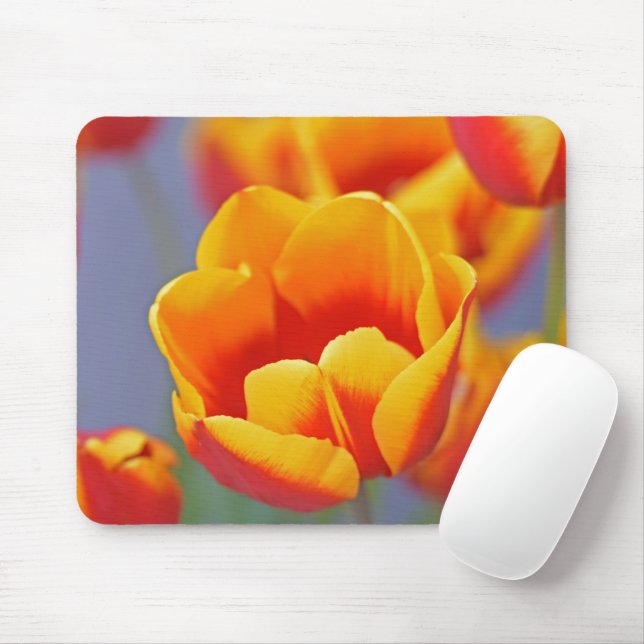 Tapis De Souris Élégante Tulipe jaune et rouge (Avec souris)