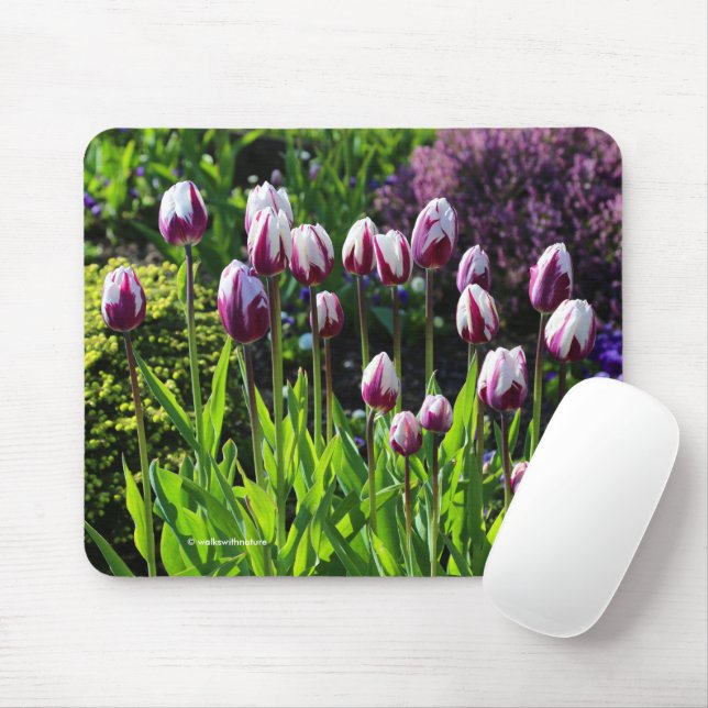 Tapis De Souris Élégante Tulipes à drapeau triomphal blanc violet (Avec souris)