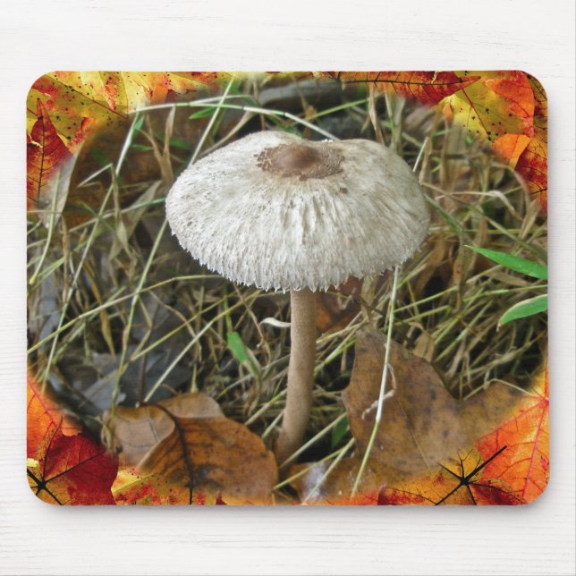 Tapis De Souris Éléments de coordination du champignon de parasol  (Devant)
