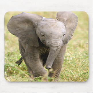 Tapis De Souris Elephant Baby