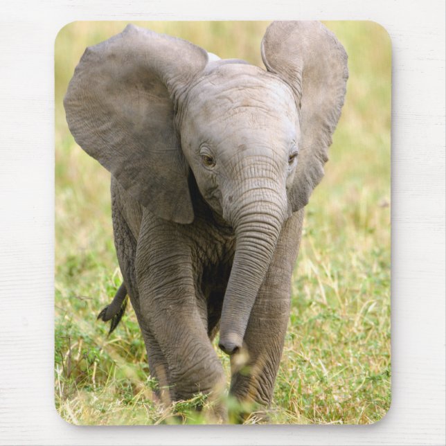 Tapis De Souris Elephant Baby (Devant)