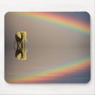 Tapis De Souris Éléphant, eau et arc-en-ciel, Kenya