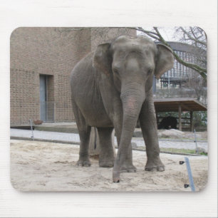 Tapis De Souris ELEPHANT mousepac