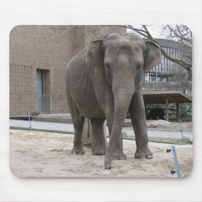 Tapis De Souris ELEPHANT mousepac (Devant)