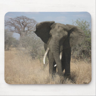 Tapis De Souris Éléphant Mousepad