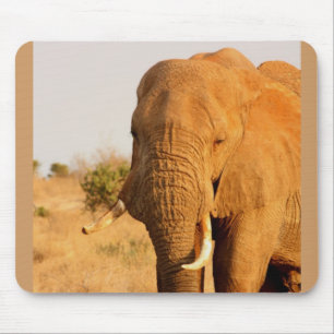 Tapis De Souris Éléphants