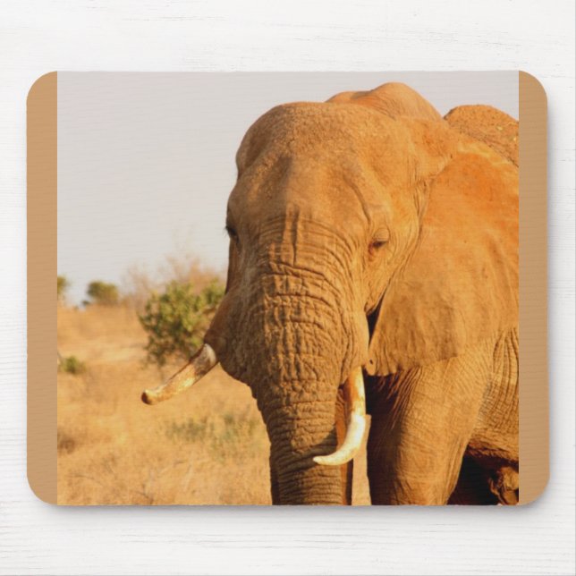 Tapis De Souris Éléphants (Devant)