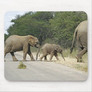 Tapis De Souris Éléphants