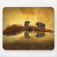 Eléphants asiatiques en Thaïlande sous un coucher 