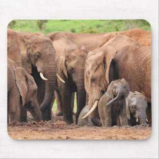 Tapis De Souris elephants cute