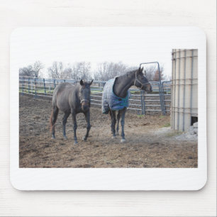 Tapis De Souris Élevage agricole Cheval Buddies