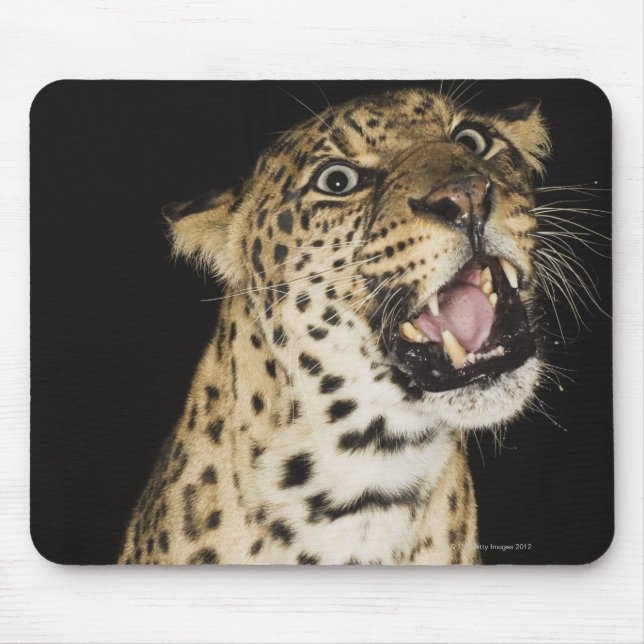 Tapis De Souris Élevage de léopard (Devant)