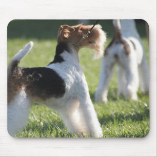 Tapis De Souris Eliza Mousepad