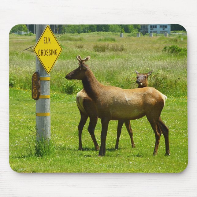 Tapis De Souris Elk Crossing California Wildlife Photography (Devant)