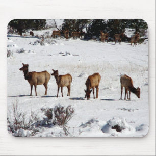 Tapis De Souris Elk dans la bouche de neige