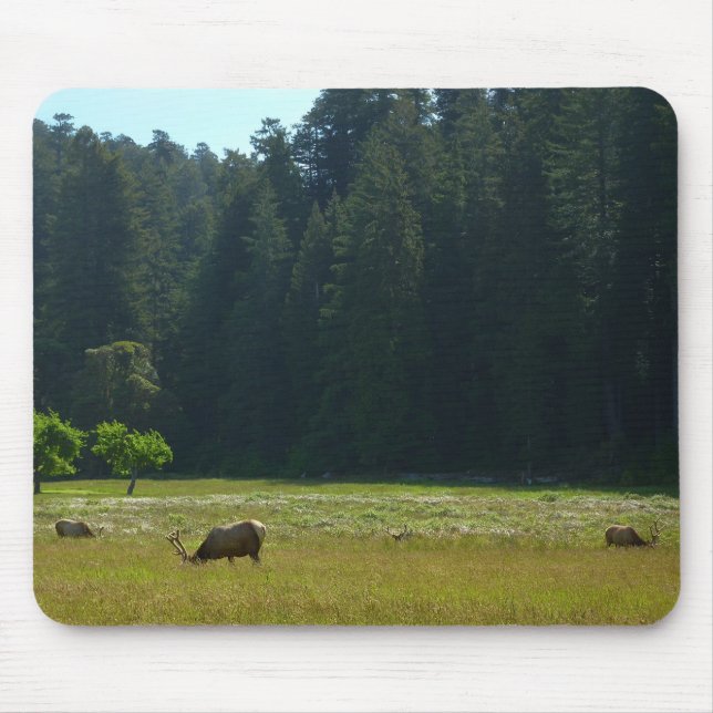 Tapis De Souris Elk Meadow at Redwood National Park (Devant)