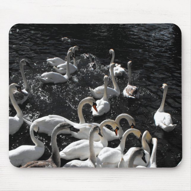 Tapis De Souris Éloigne les cygnes (Devant)