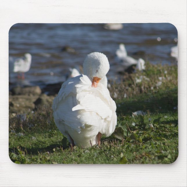 Tapis De Souris Embden Goose (Devant)