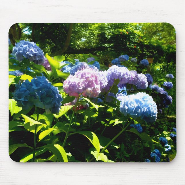 Tapis de souris en gelée de fleur d'Hydrangea (Devant)