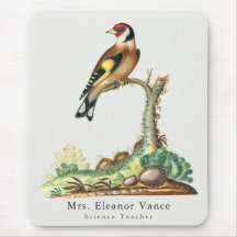 Enseignant Personnalisé Oiseau Botanique Vintage