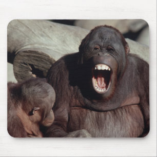 Tapis De Souris Ensemble faunique - Primates 1