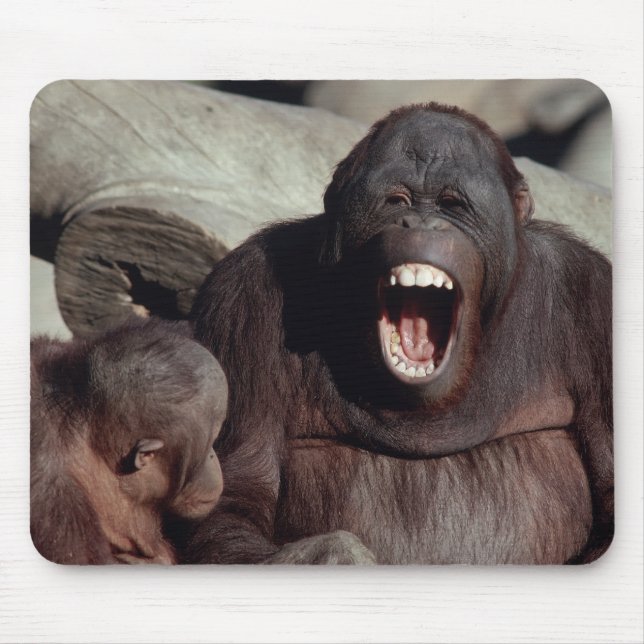 Tapis De Souris Ensemble faunique - Primates 1 (Devant)