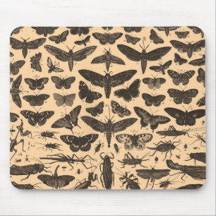 Tapis De Souris Entomologie vintage Mousepad