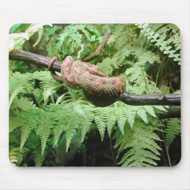 Tapis De Souris Enveloppe de serpent de forêt tropicale - mousepad (Devant)