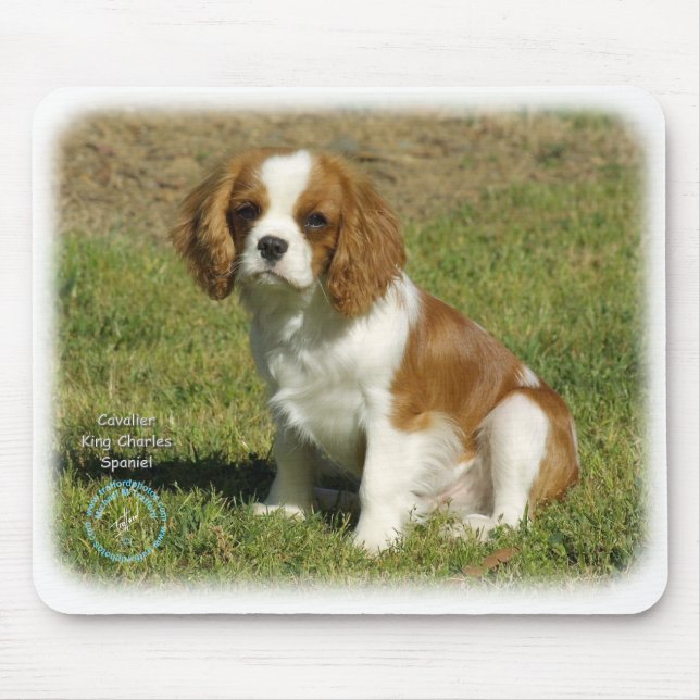 Tapis De Souris Épagneul cavalier du Roi Charles (Devant)