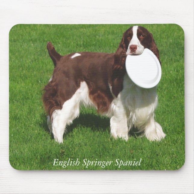 Tapis De Souris Épagneul de springer anglais Mousepad (Devant)