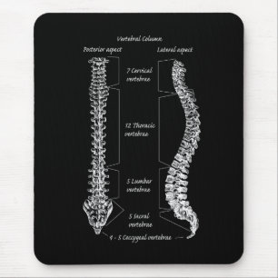 Tapis De Souris Épine