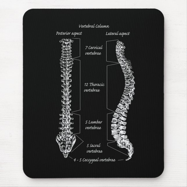 Tapis De Souris Épine (Devant)