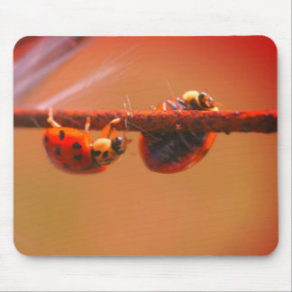 Tapis De Souris Équilibrer la nature des Ladybugs
