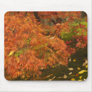 Tapis De Souris Érable japonais en couleur d'automne