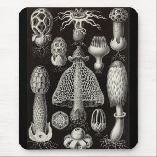Tapis De Souris Ernst Haeckel - champignons de Basimycetes