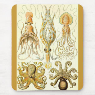 Tapis De Souris Ernst Haeckel - Gamochonia