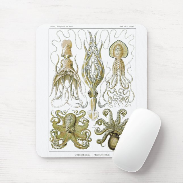 Tapis De Souris Ernst Haeckel Gamochonia Octopus & Squid (Avec souris)