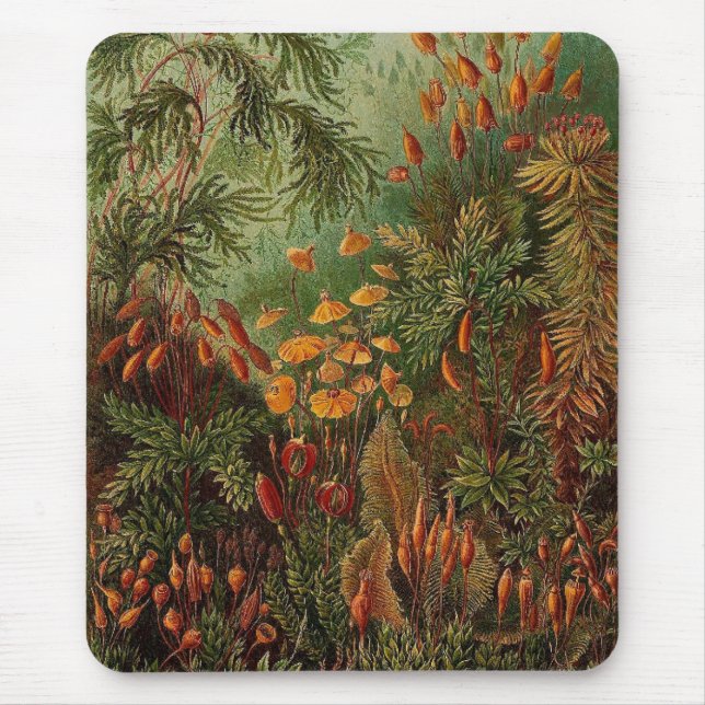 Tapis De Souris Ernst Haeckel Muscinae illustration vintage (Devant)