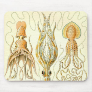 Tapis De Souris Ernst Haeckel - petit groupe de Gamochonia