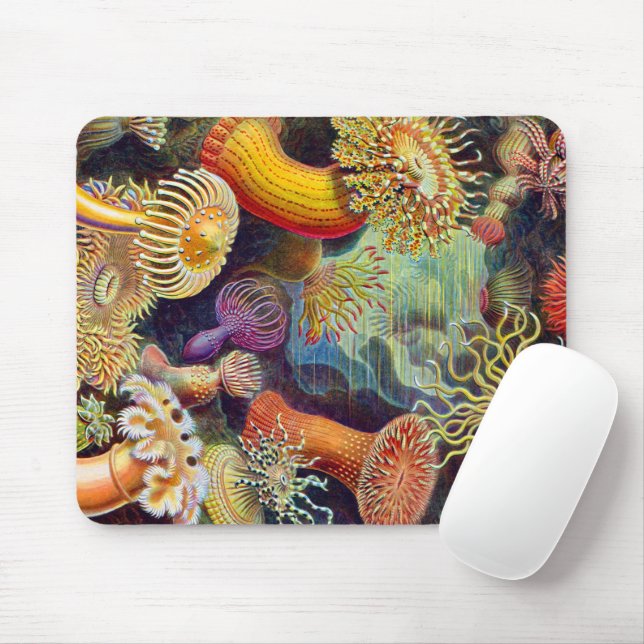 Tapis De Souris Ernst Haeckel Sea Anemones Marine : Actiniae (Avec souris)