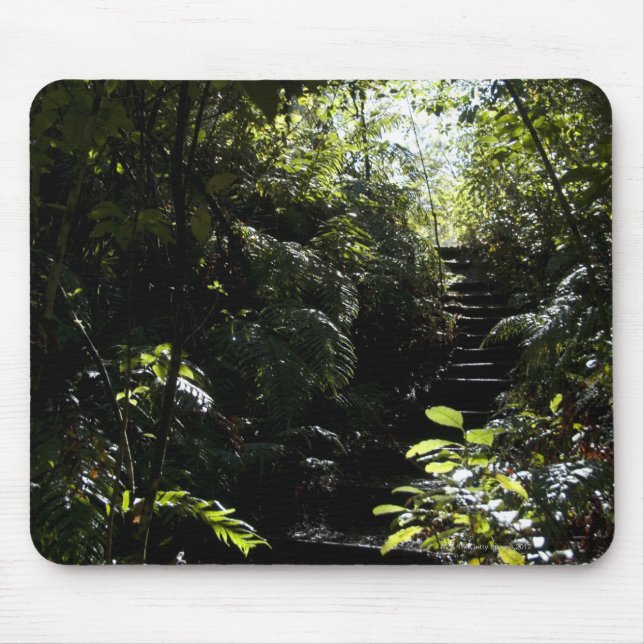 Tapis De Souris Escalier/sentier piéton rustiques dans la forêt, (Devant)