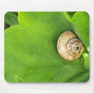Tapis De Souris Escargot