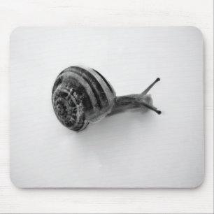 Tapis De Souris Escargot