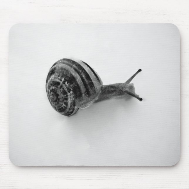 Tapis De Souris Escargot (Devant)