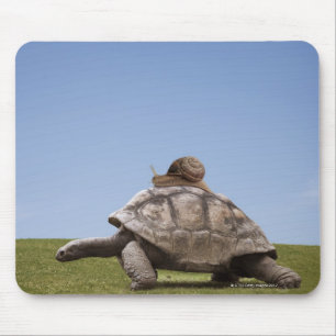 Tapis De Souris Escargot au-dessus d'une tortue