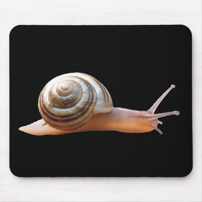 Tapis De Souris Escargot sur le mousepad noir de ~ (Devant)