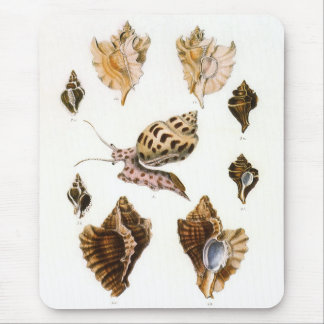 Tapis De Souris Escargots et mollusques vintage, organismes de la 