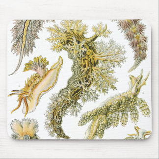 Tapis De Souris Escargots vintages et limaces de mer par Ernst Hae
