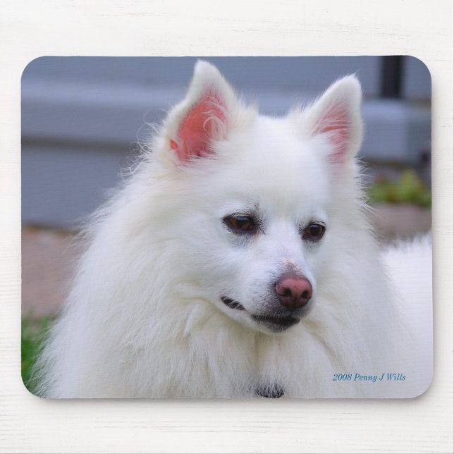Tapis De Souris Esquimau américain Mousepad (Devant)